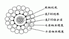 FL-WGSF46-8.00mm防硫型絕緣護(hù)套雙鋼絲鎧裝承荷探測電纜