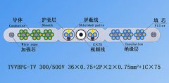 扁平絞合型排列帶屏蔽、鋼芯和視頻線電梯電纜