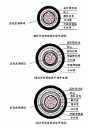 PTYA23、PTYA22鐵路鎧裝信號電纜